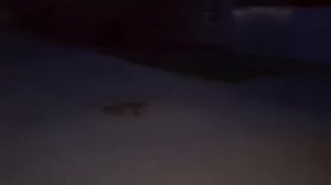 Огород на юге-возмущению нет пределаМы купили винный шкаф, не для вина  Ремонт трешки под ключ.