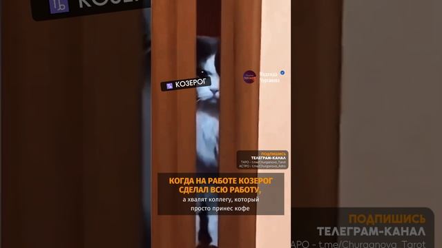 Ты, знаешь, кому отправить или отмечай Козерога 💌 #надеждачурганова