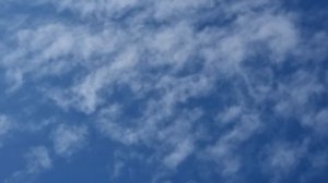 Голуби минус Жёлтый космонавт