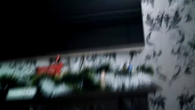 Показываю моей собаки ящик с принадлежностями