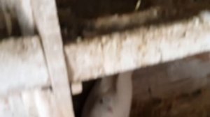 8.04.18.Садятся последние космонавты.