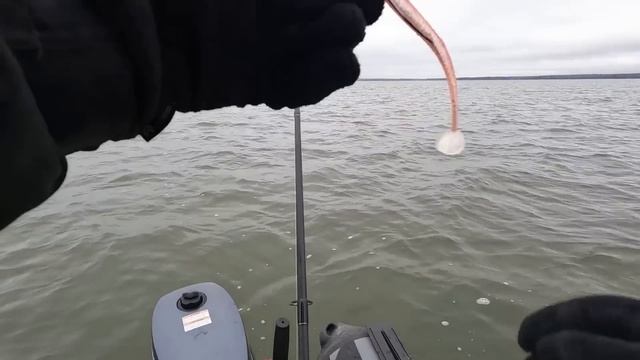 Ловля СУДАКА осенью на ДЖИГ! Рыбалка на ЯУЗСКОМ вдхр! Сезон закрыл, но это не точно!))) смотреть онлайн