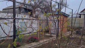 День рождения Олега. Что купила в подарок? Прибираю в огороде.