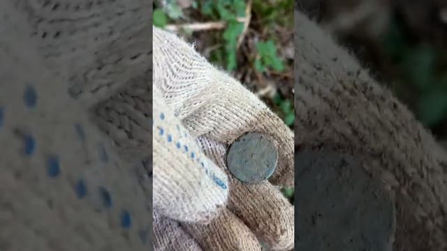 Лесные находки с Minelab vanquish 540