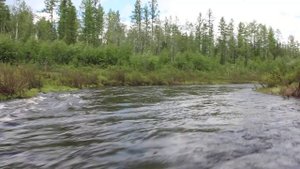 Река Покалькы