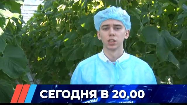 Волгоградская городская Дума решила судьбу легендарного проекта Ефима Левитана