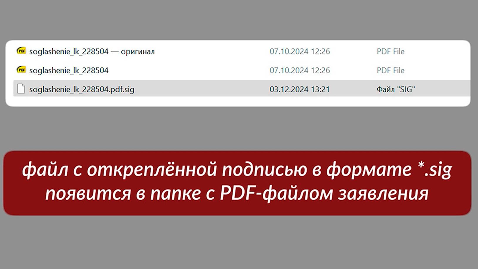 Как подписать КЭП заявление на ЛК физлица на портале АИС ТК | Версия от 24.12.2024