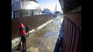 Собаки нападают на детей. Часть первая (Россия)