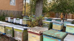 Проверка после обработки сублиматором 30.09.21