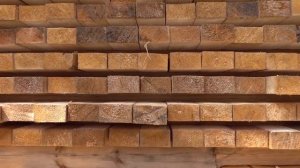 Трехслойный щит для балки БДК 1. #балкабдк #двутавроваябалка #бдк1 #русскаядубрава #пери #дока #пск