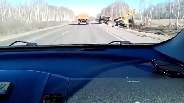 ОМСК, ОМСКАЯ ОБЛАСТЬ!!! УРА😃👍 Бернский Зенненхунд. смотреть онлайн