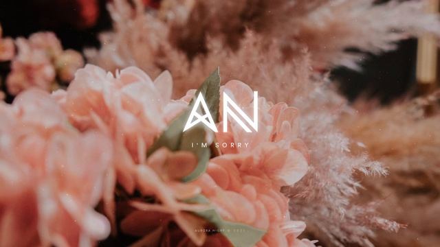 Chillout Music 2022 | I'm Sorry