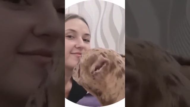 Наша Яна и Ричи, щенок Американского булли