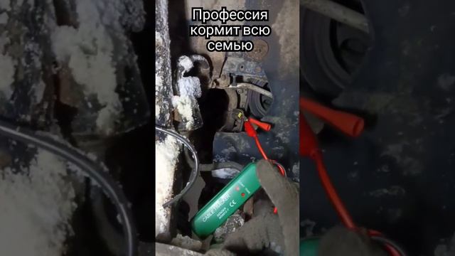 форд фокус не заводится после замены подушки двигателя, отзывы обучение бешеный электрик