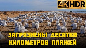 Тысячи мешков с мазутом | Уборка побережья в Краснодарском крае