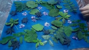 Экопринт на коже!