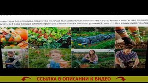 ДЕЙСТВУЮЩЕЕ ВЕЩЕСТВО ГЕРБИЦИДОВ ❗ РАУНДАП ИНСТРУКЦИЯ ПО ПРИМЕНЕНИЮ ДОЗИРОВКА ЦЕНА