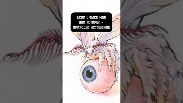 Смысл  #смыслжизни #смыслаглубина #смысл_цитаты #смысл_жизни #смыслы