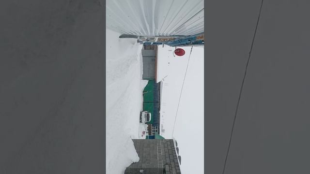 трактор на продаже смотреть онлайн