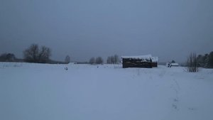 Поездка в Деревню.