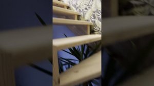1000061336.mp4