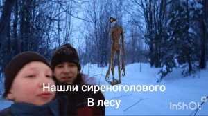 Нашли сиреноголового в лесу