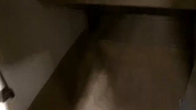 Coconut Joe Presents the 2012 Cobalt 220 смотреть онлайн