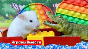 Помогаем Хомяку выбраться из ОПАСНОГО лабиринта 🐊🐊🐊 Видео для детей