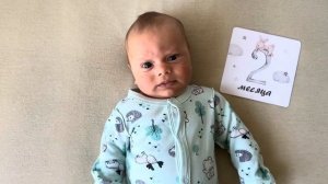 Дане 2 месяца