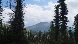 Вечер бродит