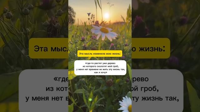 Отрезвляет, да?