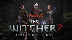 The Witcher 2 Assassins Of Kings Enhanced Edition контракт на горгулий Часть 20