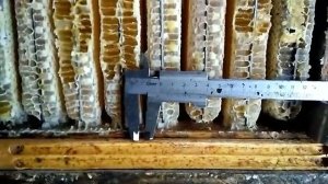 Конструкция рамок в улье Альпиец Н 108