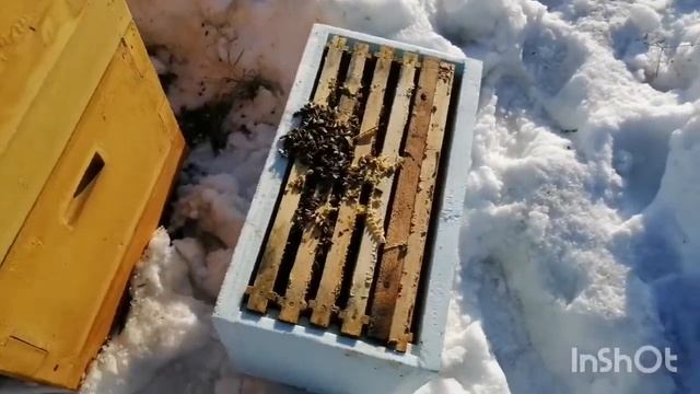 Спасаю матку ио