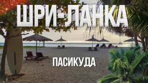 МОСКВА - ШРИ-ЛАНКА: Перелёт, Который Мы Точно Запомним! / Passikudah Beach