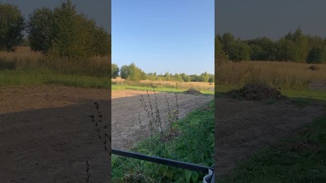 Матушка земля #матушка #матушказемля #деревня #природа #жизньвдеревне #деревенскаяжизнь #домвдеревне