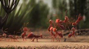 It's smarter to travel in groups - Ants and anteater