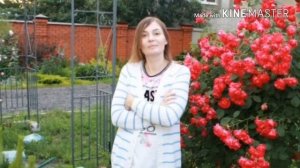 Мой сад,Розы 2-я часть ,Vlog на пляже!