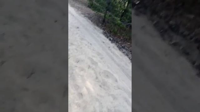 Сосновый бор часть 1 смотреть онлайн