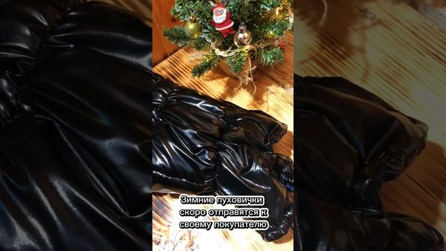 Одежда для собак. Зимние пуховики для собак. Зимний гардероб. Комбинезон для собаки. Собачья одежда