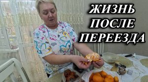 768ч Наша жизнь на Кубани/Переехали на юг с Урала/Купили дом