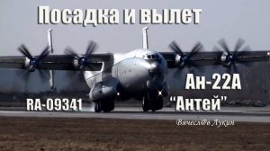 Посадка и вылет Ан-22А "Антей" RA-09341