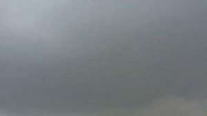 8.06.18. 15.00 голуби не летят.