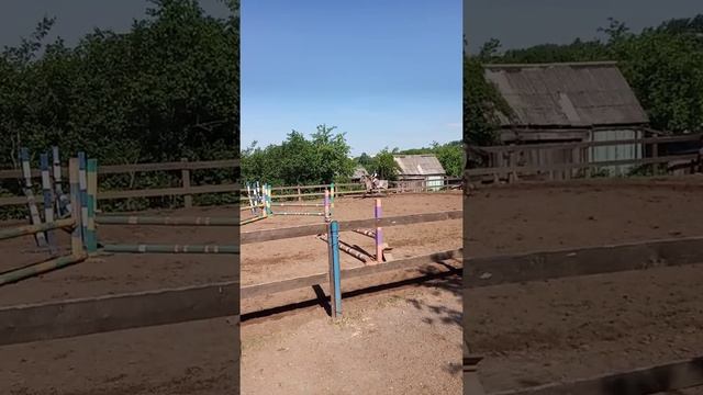 конкурная треннировка на Боре и маршрут! смотреть онлайн