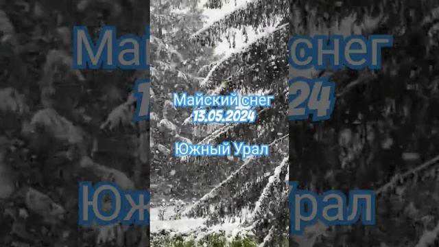 #снег #снегвмае