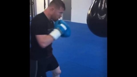 Canelo Alvarez Training