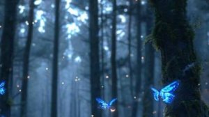 Интересные истории - Путь к признанию....