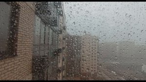 дождь. лето. 2024