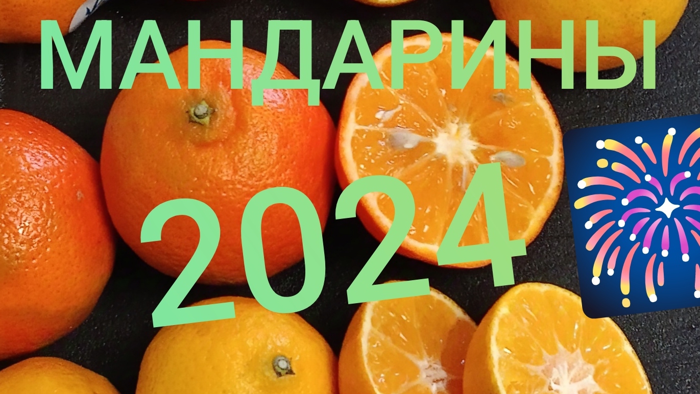 Выбираем мандарины!