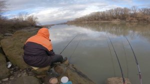 Ловля чехони